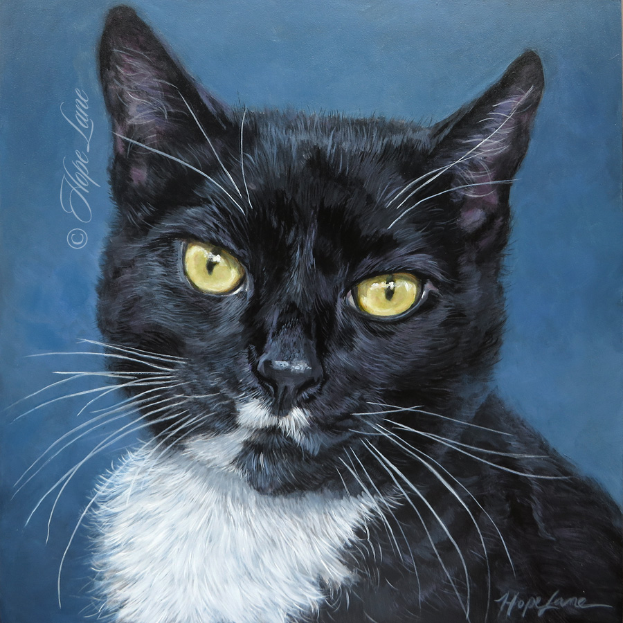 Finished Portrait of Kitty