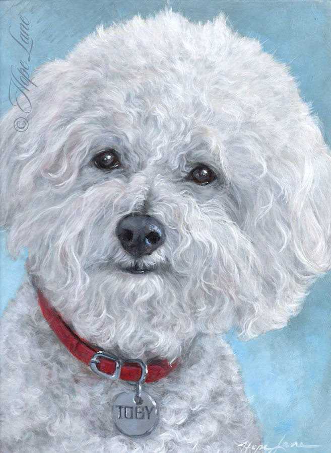 Finished Painting of a Bichon Frise