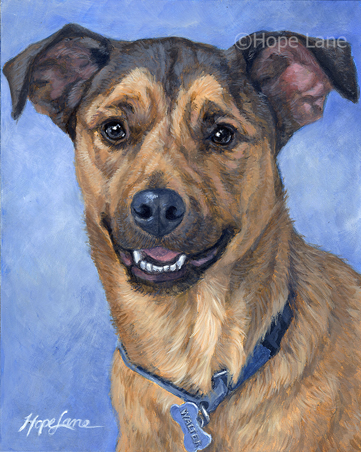 Finished Portrait of Walter, a Rescue