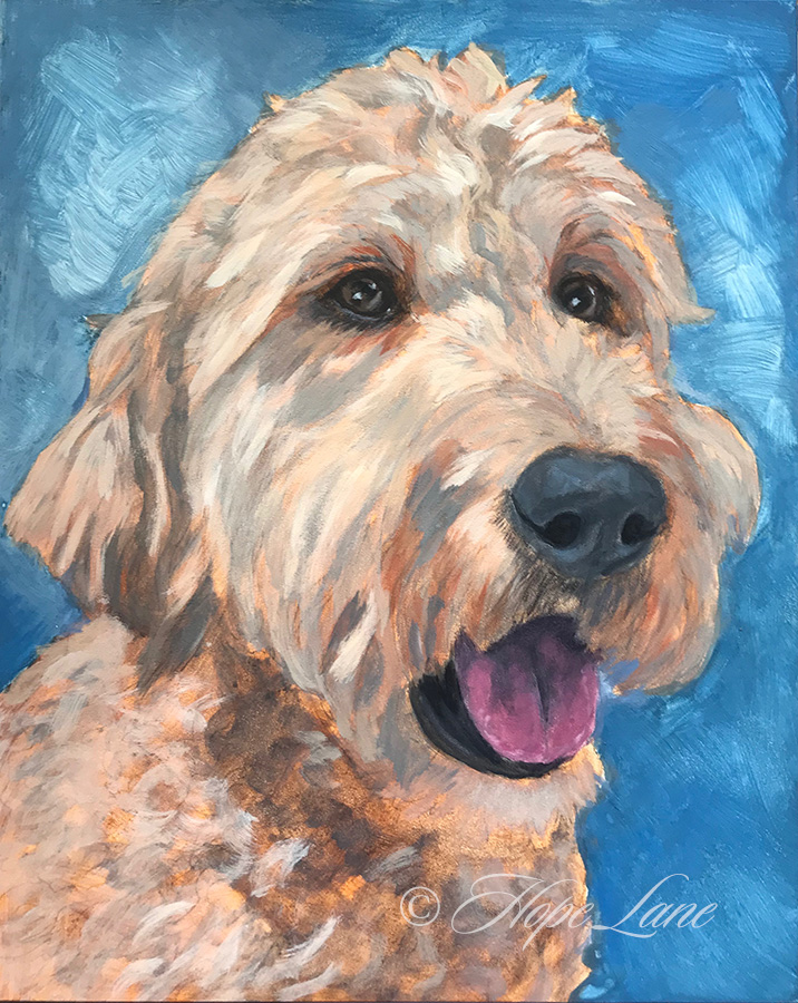 Starting a painting of Charlie the Golden Doodle