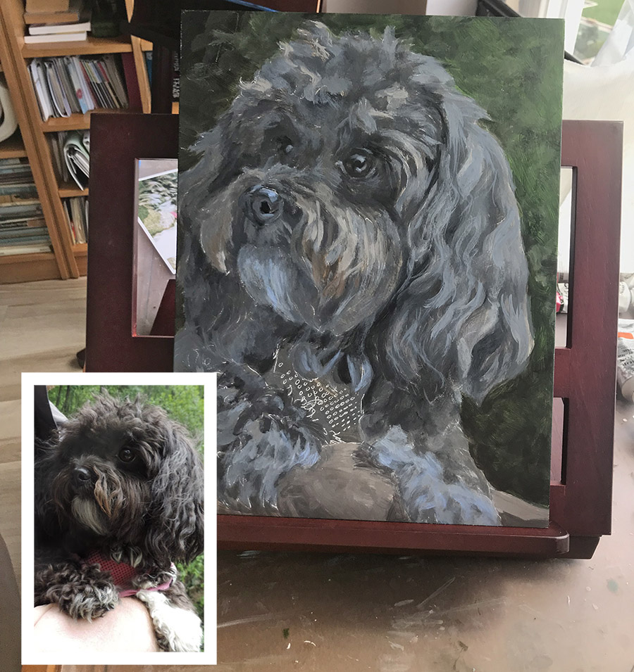 Starting to Paint Molly the Havanese