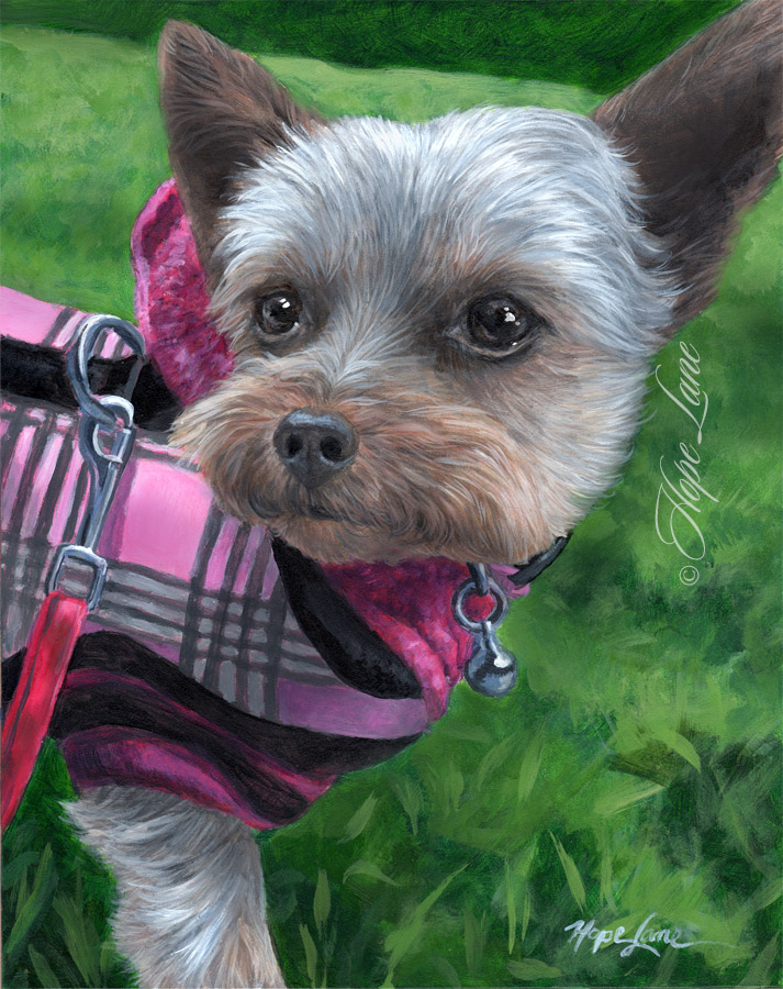 Ella the Yorkie Painting Finished