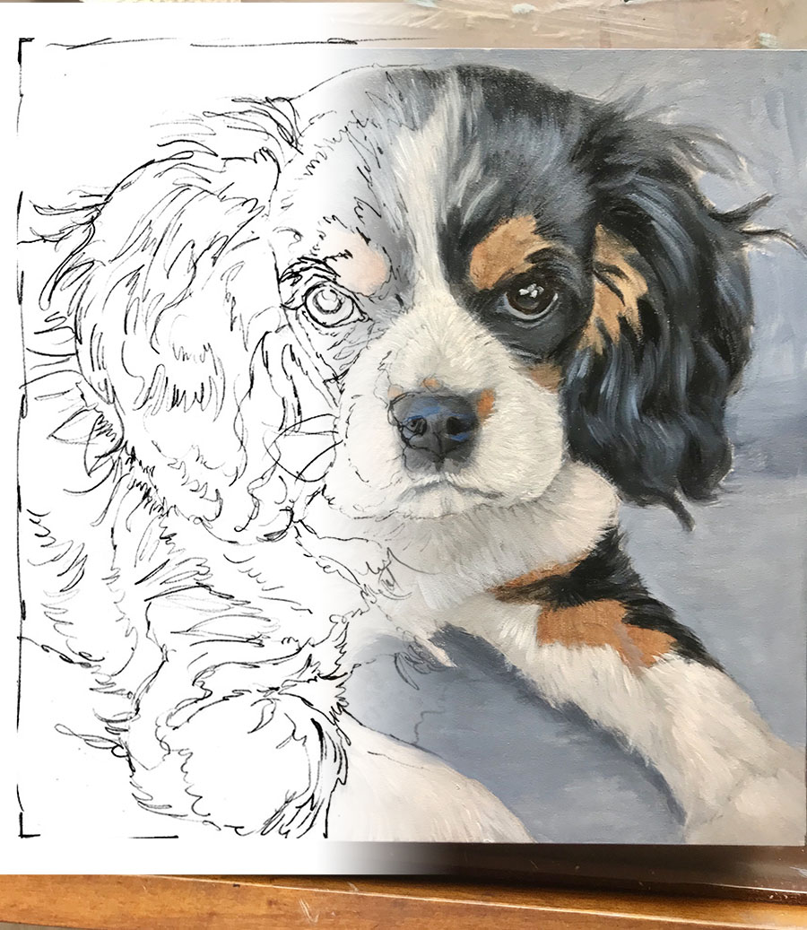 Starting a Painting of Jasper