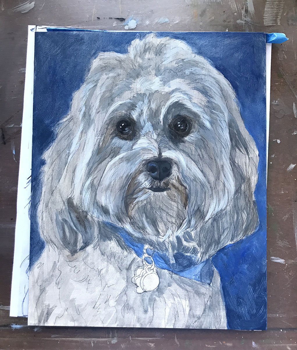 Starting A Portrait of a Havanese Named Thai